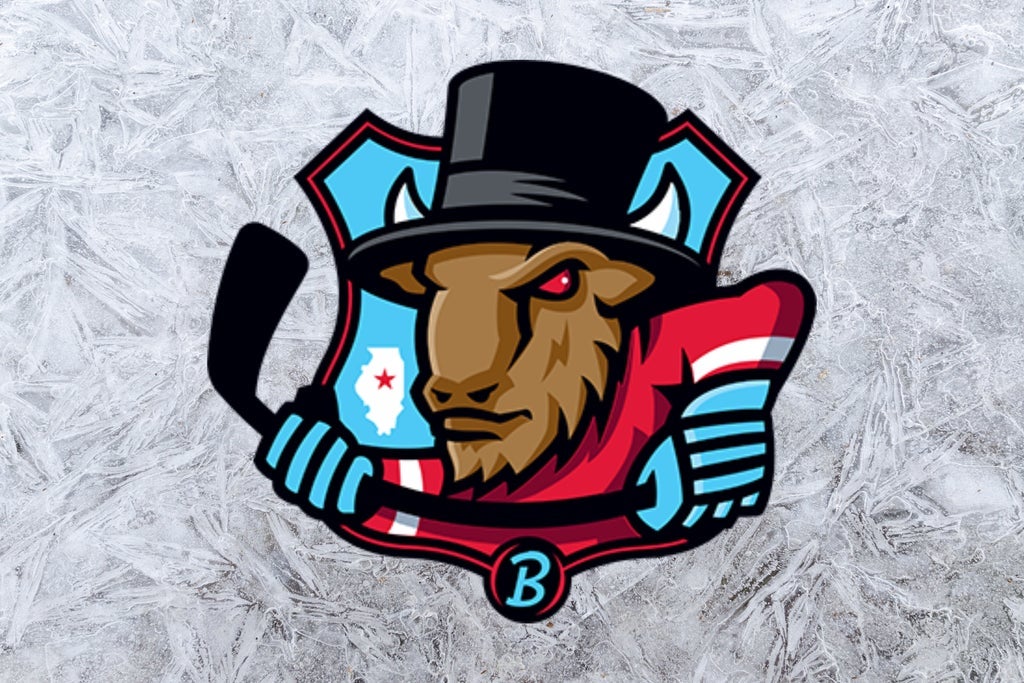 Bloomington Bison vs. Kalamazoo Wings