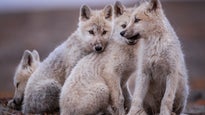 NAT GEO LIVE! SOCIAL BY NATURE - Ronan Donovan, Photographer