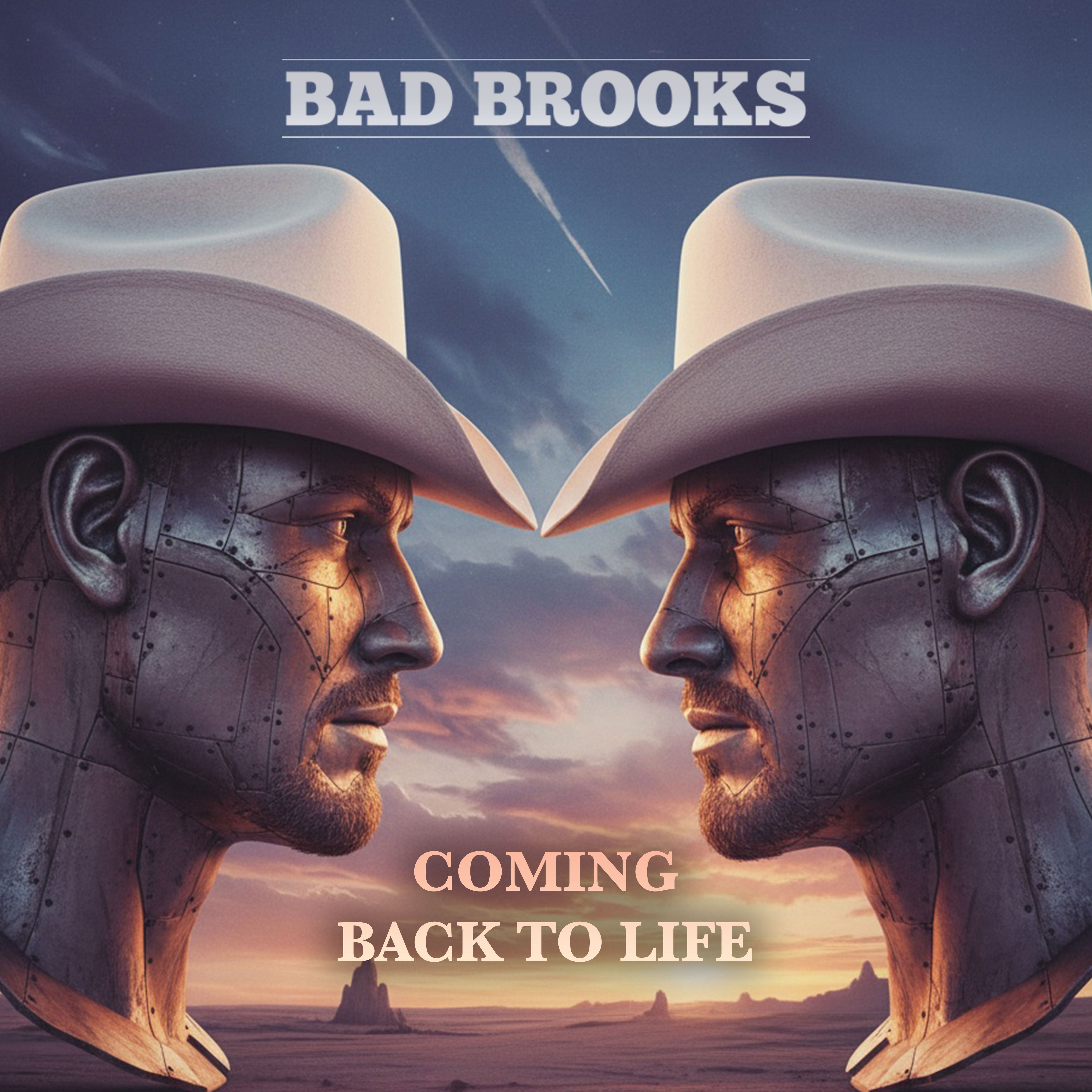 Bad Brooks - Coming back to life tour