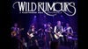 Wild Rumours: A Fleetwood Mac Experience