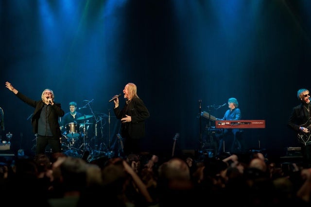 Presales to three dog night: members use these when buying pre-sale tickets