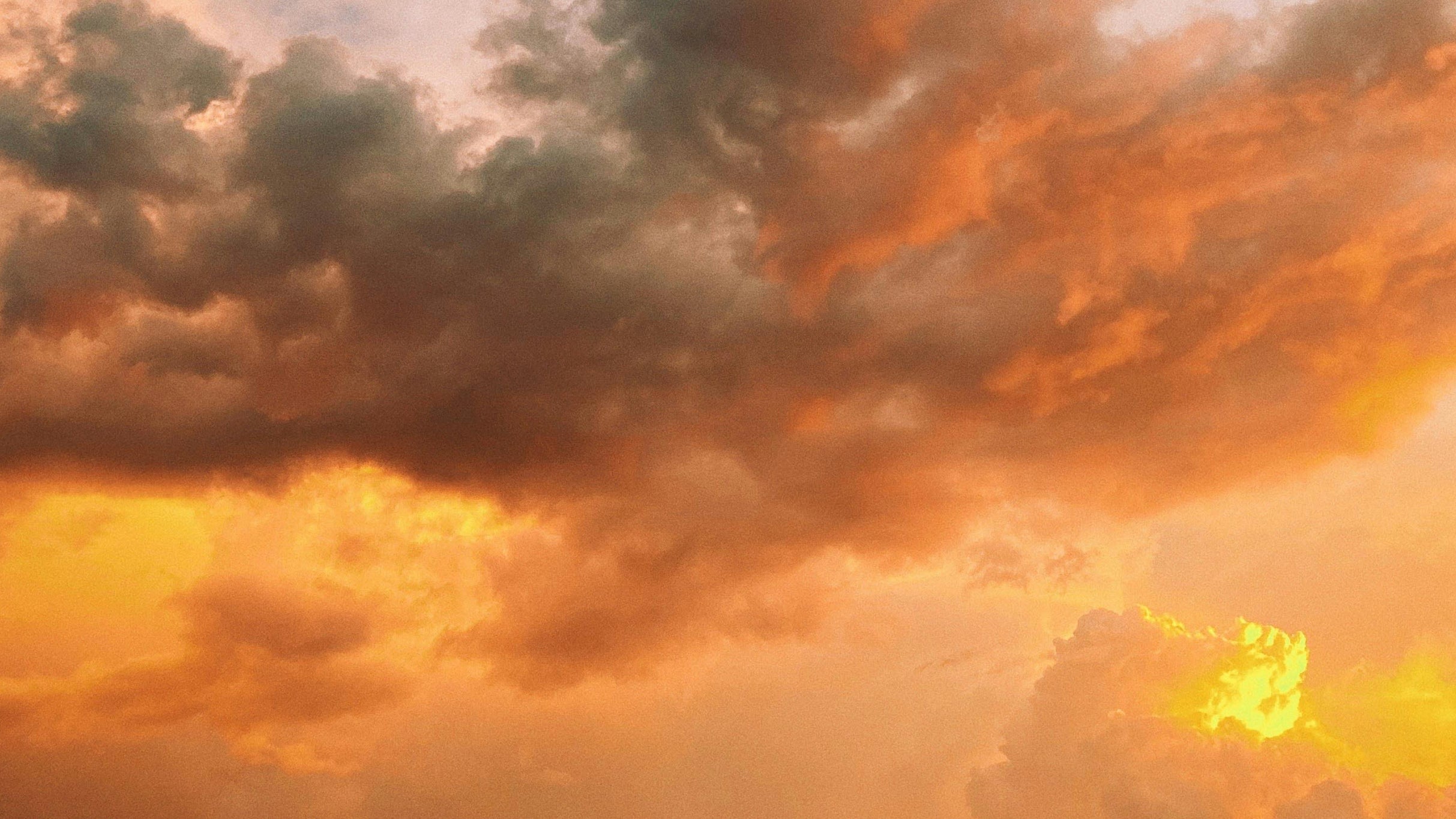 Auckland Philharmonia: Mozart 39