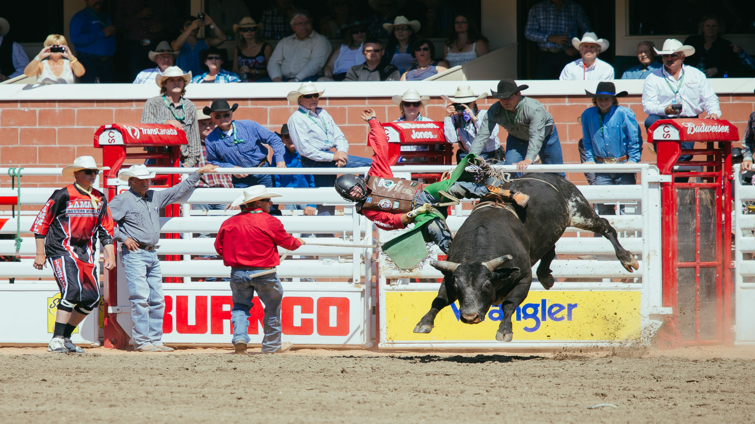 Calgary Stampede Rodeo