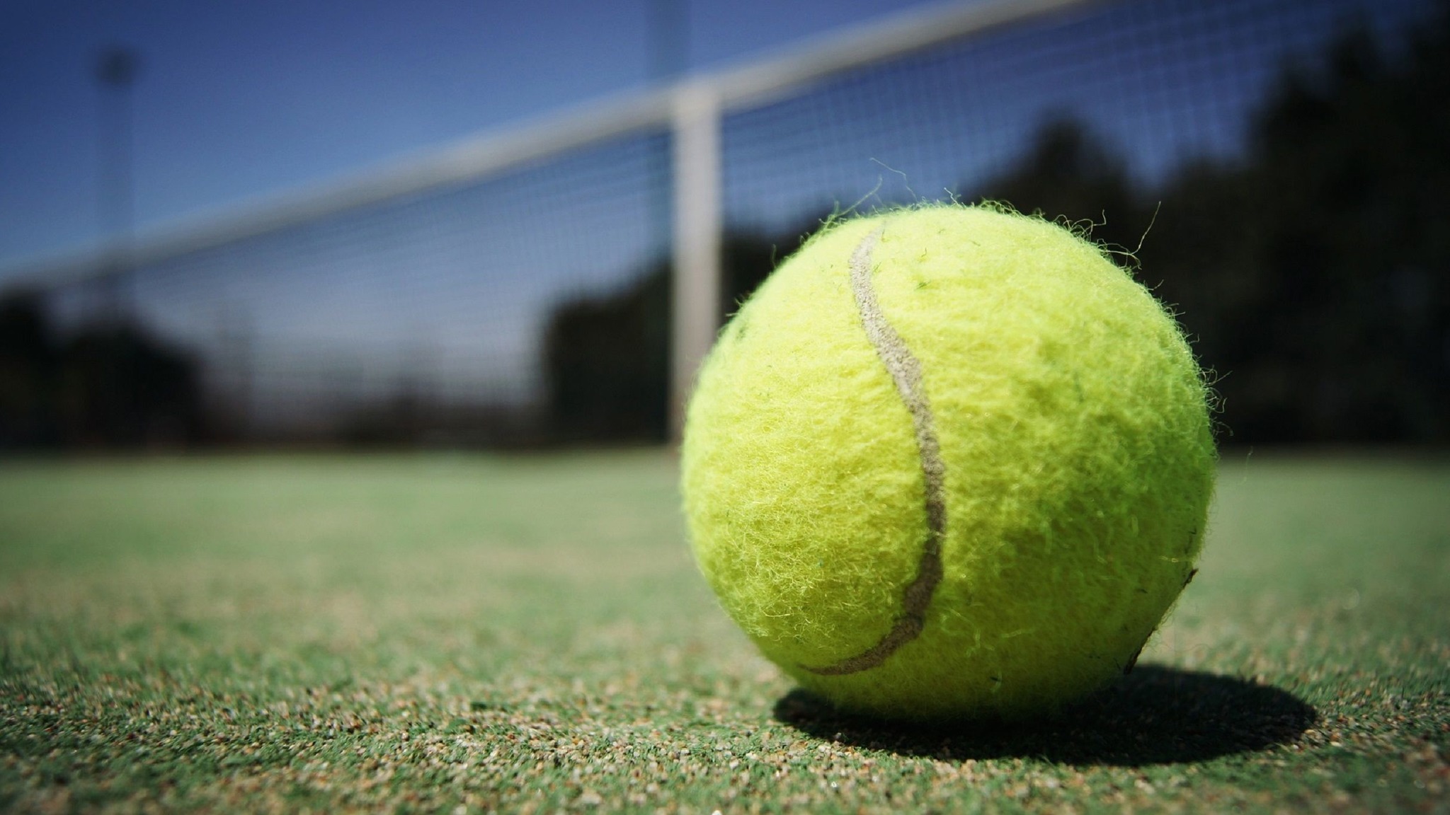 Fed Cup