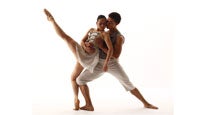 New York Theatre Ballet