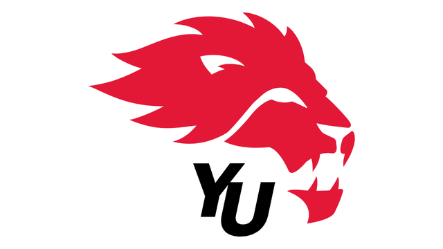 York Lions Stadium