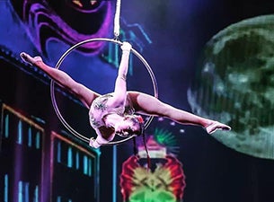 Cirque International