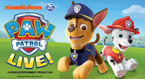 paw patrol deals