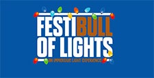 FestiBull of Lights at Durham Bulls Athletic Park – Durham, NC