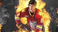 Chicago Wolves v. Texas Stars