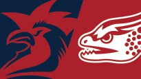Sydney Roosters