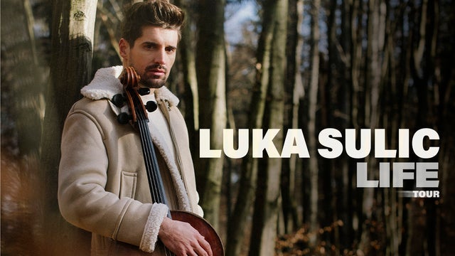 Luka Sulic