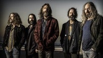 Chris Robinson Brotherhood ...