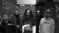 While She Sleeps ...