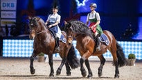 Munich Indoors 2019 | Ganztageskarte Freitag ...