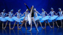 Schwanensee - Russian Classical Ballet ...