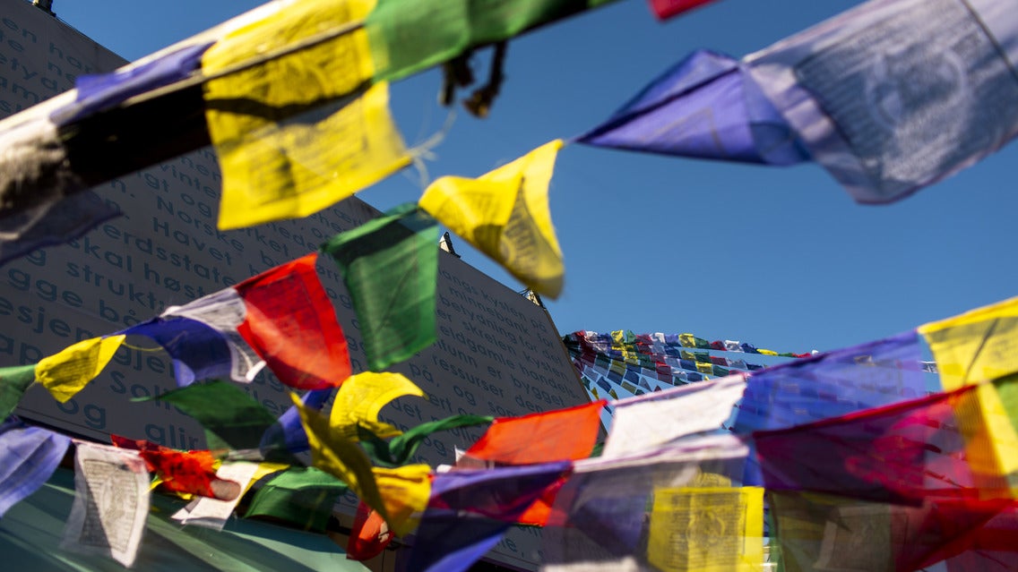 Seaside Rock Party – Pløyd Mark