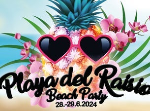 Playa del Raisio Beach Party 2024: PARTY-VIP Saturday