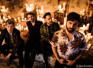 Foals Foals