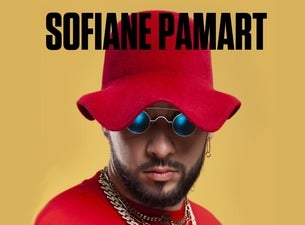 Sofiane Pamart