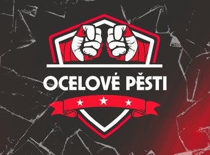 Ocelové pěsti 2