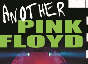 ANOTHER PINK FLOYD I MAREK RADULI