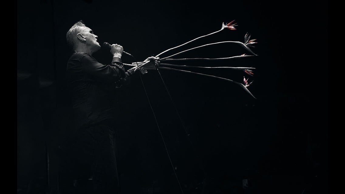 Morrissey
