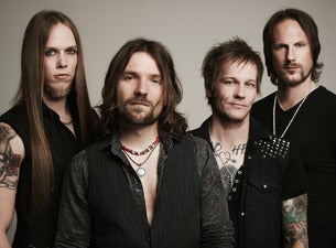 The New Roses The New Roses