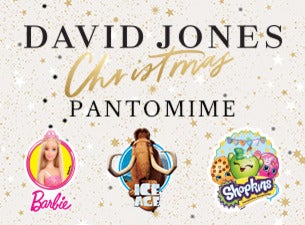 The David Jones Christmas Pantomime