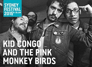 Kid Congo and the Pink Monkey Birds