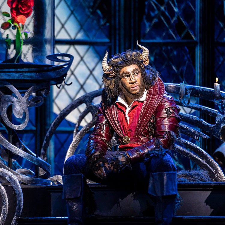 Beauty And The Beast The Musical, Capitol Theatre Sydney Ticketmaster