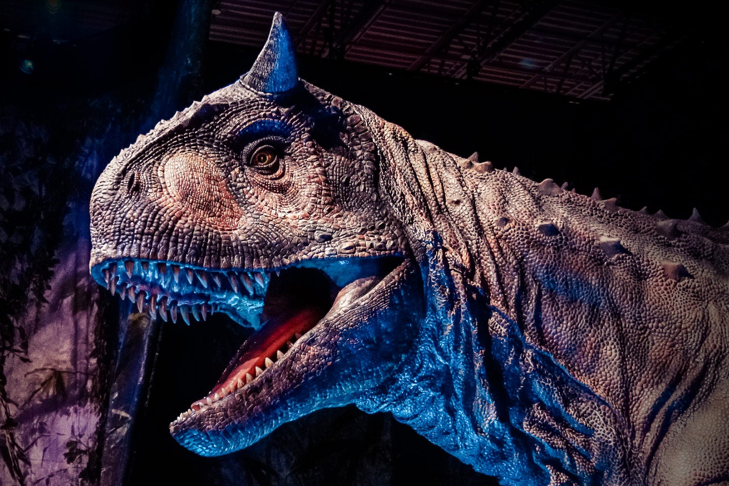 Jurassic World The Exhibition. Buy Tickets Official Ticketmaster site.