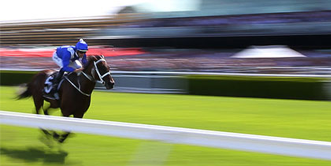 Royal Randwick Action Shot