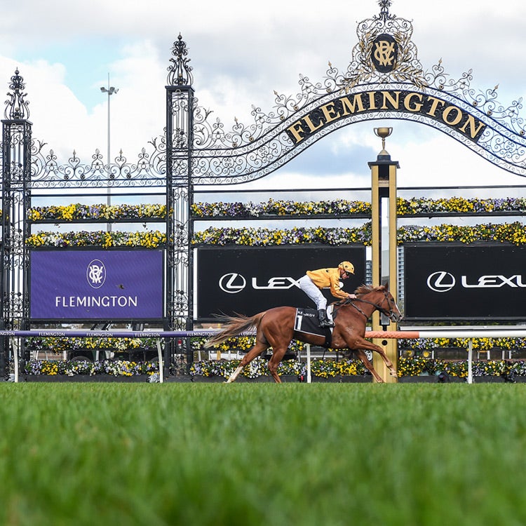 Flemington Finals Day