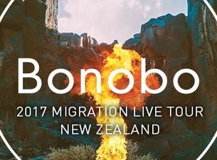 Bonobo