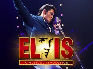 Elvis - A Musical Revolution