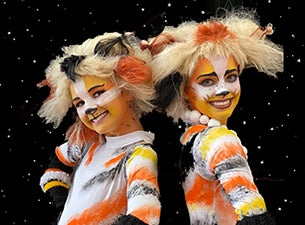 Cats the Musical