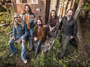 Chris Robinson Brotherhood