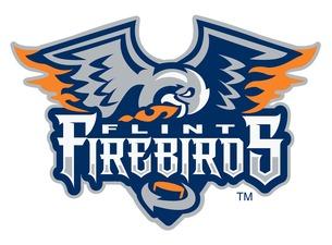 Flint Firebirds