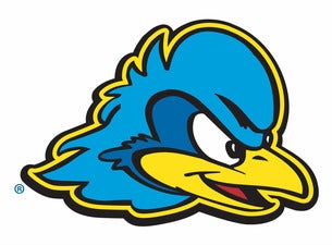 University of Delaware Blue Hens Mens Basketball