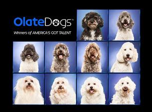 Olate Dogs