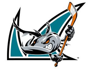 San Jose Barracuda