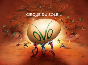 Cirque du Soleil: OVO