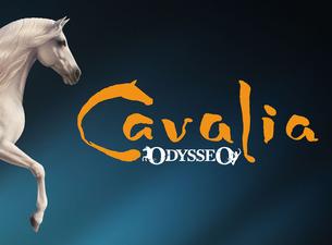 Cavalia Odysseo