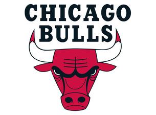 Chicago Bulls