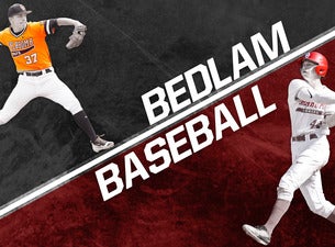 Bedlam Baseball