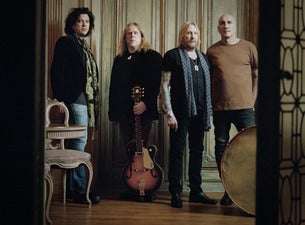 Gov't Mule