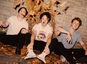 The Wombats