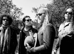 Alice in Chains