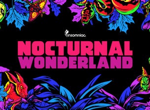 Nocturnal Wonderland